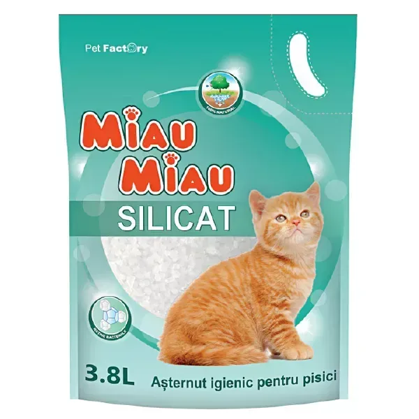 (0240) ASTERNUT SILICATIC MIAU MIAU 3.8L