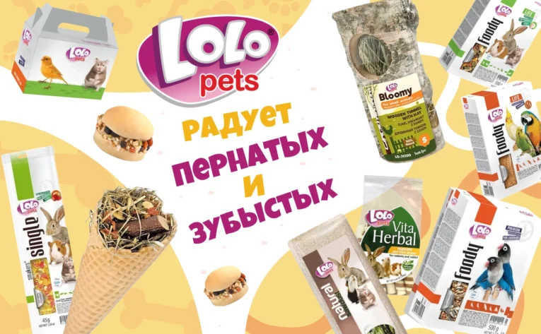 LoloPets: всё для маленьких друзей — с заботой и доверием