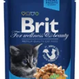 Brit Premium. Влажный корм для котят с курицей. 100 г.