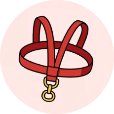 Амуниция для кошек
